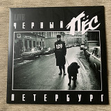 DDT* – Чёрный Пёс Петербург