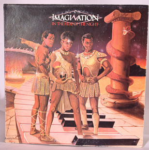 Vinyl - Imagination- Виниловые пластинки 2 шт