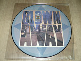 King Swamp – Blown Away (1989, UK) (12" single, picture disc)