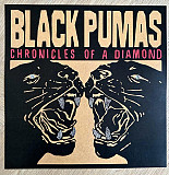 Вінілова платівка Black Pumas – Chronicles Of A Diamond
