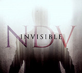 Nick D'Virgilio ( Spock's Beard ) – Invisible ( USA ) Prog Rock