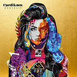 Cardiknox – Portrait ( USA ) Synth-pop, Pop Rock
