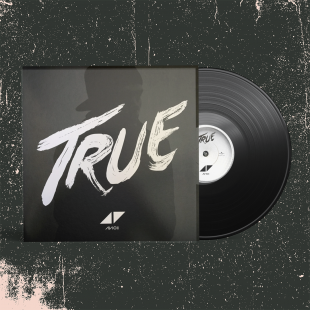 Avicii - "True"