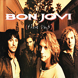 Bon Jovi – These Days ( USA )
