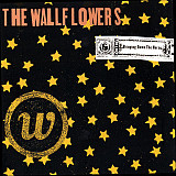 The Wallflowers – Bringing Down The Horse ( USA ) digipak (triple)
