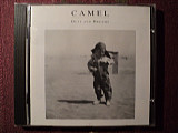 Camel ‎– Dust And Dreams