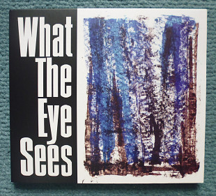 Марк Пекарский играет Gerard McBurney "What The Eye Sees"