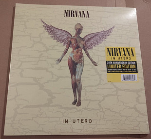 Nirvana – In Utero (30th Anniversary)