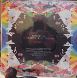 Coldplay - A Head Full of Dreams Parlophone – 0825646982158 EU 2LP nm\nm 2015 OIS