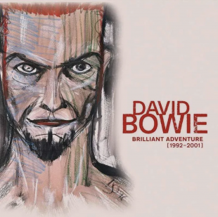 David Bowie - Brilliant Adventure (1992-2001) 18 LP Box-Set Limited Edition