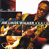 Joe Louis Walker – Pasa Tiempo ( Blues Rock, Electric Blues )