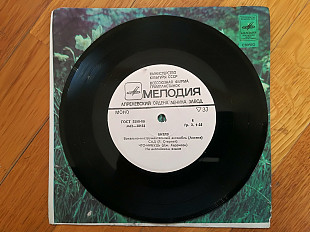 Битлз-Сад (2)-NM, 7"-Мелодія