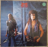 McAuley Schenker Group ‎– Perfect Timing