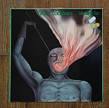 Bruce Cockburn – Stealing Fire LP 12", произв. Germany