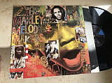 Ziggy Marley And The Melody Makers – One Bright Day ( USA ) LP