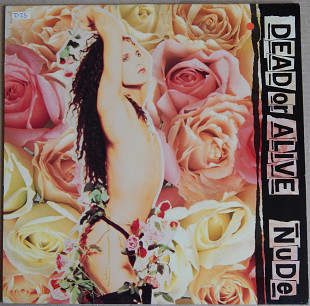 Dead Or Alive – Nude (Epic – 465079 1, Holland) insert NM-/NM-