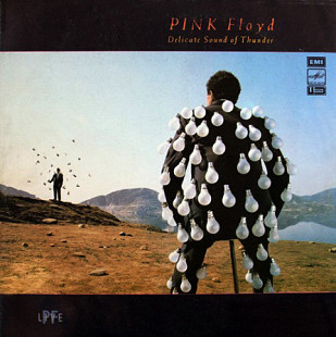 Pink Floyd – Delicate Sound Of Thunder (двойник)