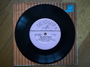 Поет Нина Бродская (2)-VG+, 7"-Мелодія