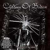 Вінілова платівка Children Of Bodom – Skeletons In The Closet (збірка каверів) 2LP