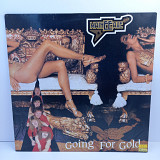 Maineeaxe – Going For Gold LP 12" (Прайс 41459)