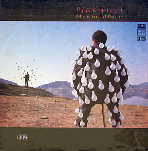 Pink Floyd – Delicate Sound Of Thunder