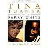 Tina Turner + Barry White – In Your Wildest Dreams ( EU )
