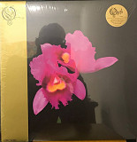 Opeth – Orchid