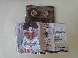 Bjork Homogenic