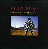 Pink Floyd – Delicate Sound Of Thunder ( 2 x CD )