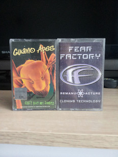 Лот аудіокасет Guano apes i Fear factory