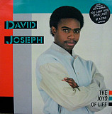 Вінілова платівка David Joseph - The Joys Of Life