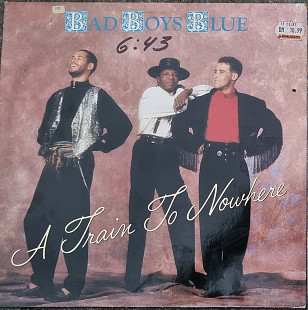 2 шт винил - 12" Bad Boys Blue - vinyl