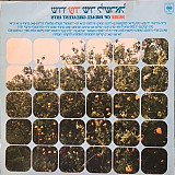 Вінілова платівка More Of Israel Greatest Hits שירו עוד שיר לישראל 1981