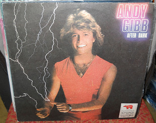 Andy Gibb (ex-Bee Gees) - 1980 After Dark