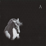 Аквариум. Лошадь Белая. 2008.