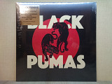 Вінілова платівка Black Pumas – Black Pumas 2019 НОВА