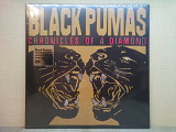 Вінілова платівка Black Pumas – Chronicles Of A Diamond 2023 (Clear) НОВА