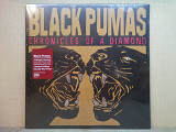 Вінілова платівка Black Pumas – Chronicles Of A Diamond 2023 (Red Cloudy) НОВА