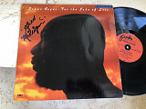 Isaac Hayes – For The Sake Of Love ( Germany ) LP