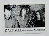 DARKSEED “Diving Into Darkness” (2000 Nuclear Blast) Original promotional band photo with autographs