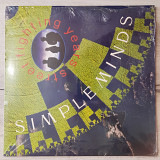 SIMPLE MINDS ( NEW WAVE ) STREET LIGHTING YEARS ( VIRGIN MINDS 1 / 209 785-8 ) G/F 1989 GERMANY