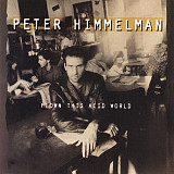 Peter Himmelman – Flown This Acid World ( USA )