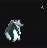 Аквариум ‎– Лошадь Белая