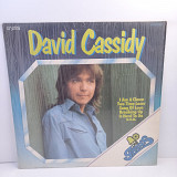 David Cassidy – Bell Greats David Cassidy LP 12" (Прайс 41976)
