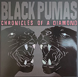 Black Pumas – Chronicles Of A Diamond (+slipmat)