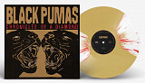 Black Pumas – Chronicles Of A Diamond платівка (Gold & White w/ Red Splatter Vinyl)