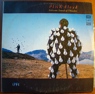 PINK FLOYD, DELICATE SOUND OF THUNDER