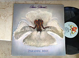 Amii Stewart – Paradise Bird ( USA ) LP
