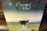 Коллекционная Виниловая Пластинка - Оригинал (Germany) =ORIENTAL WIND= 1983 year *Life Road*