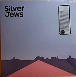 Вінілова платівка Silver Jews – American Water